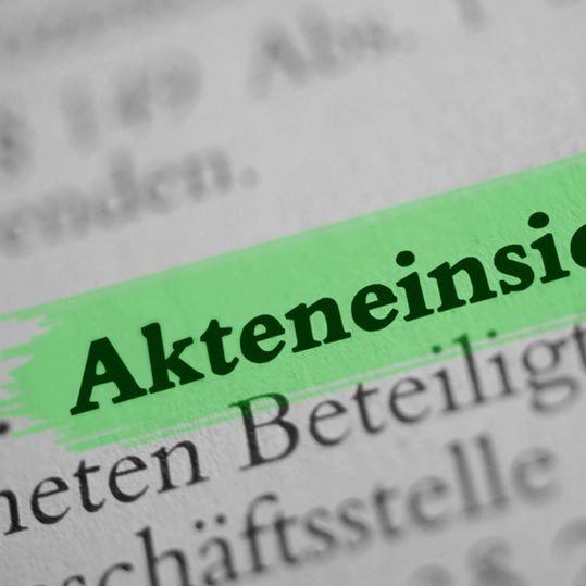 Akteneinsicht.jpg